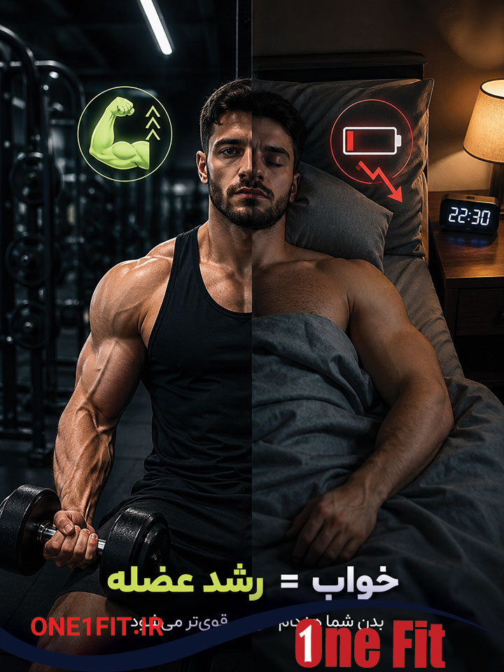 عضله سازی با وی پروتئین