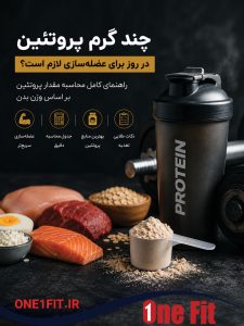 مقدار پروتئین برای عضله سازی