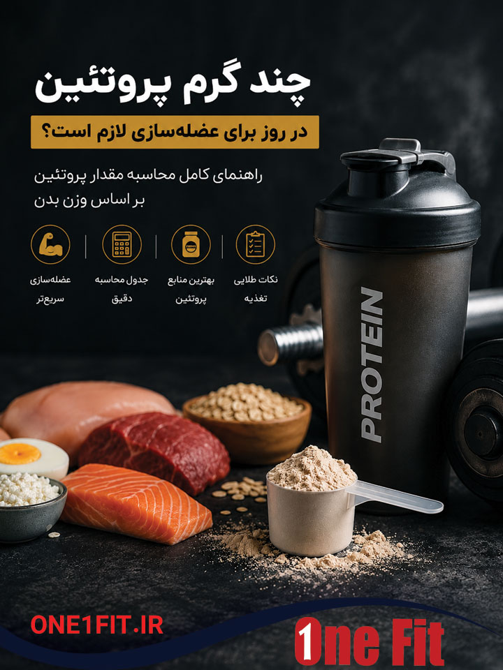 مقدار پروتئین برای عضله سازی