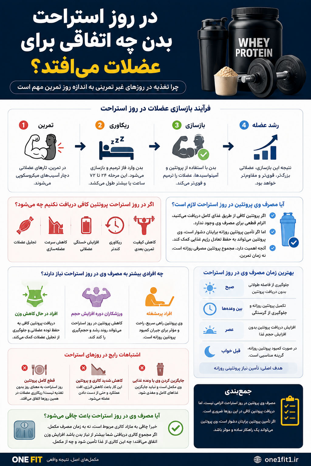 مصرف وی پروتئین در روز استراحت